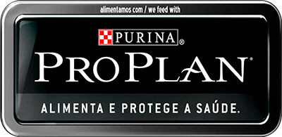 hotel para cachorro hotel para cachorro